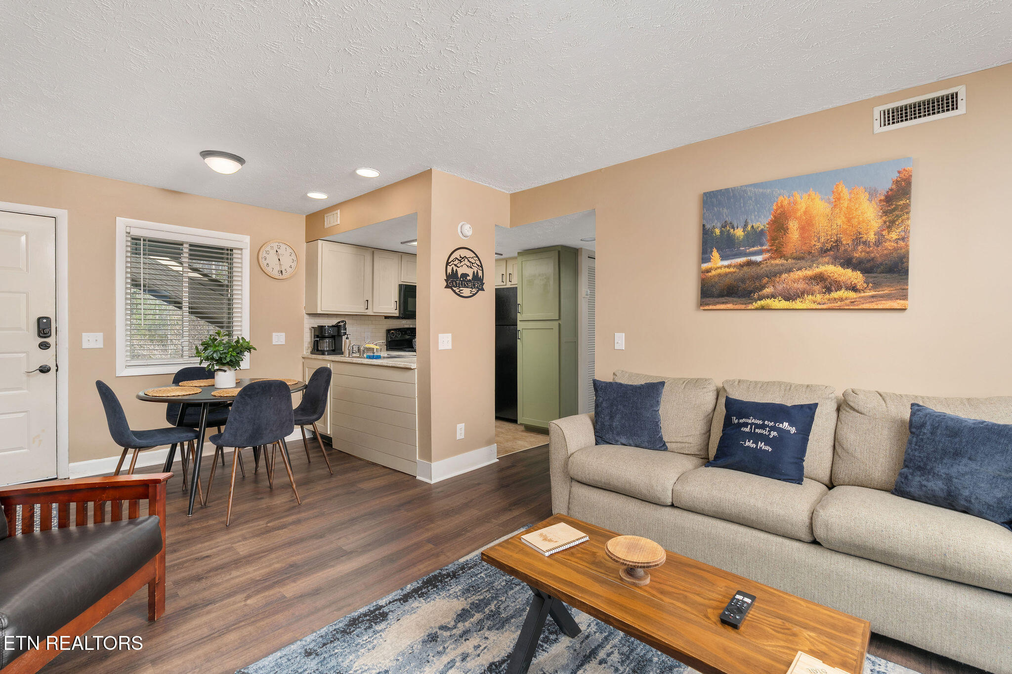 3710 Weber Road, Unit 307C Gatlinburg, TN 37738 - Photo 9 of 47 DSC07121