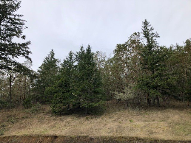 5956 Buckhorn Road Roseburg, OR 97470 - Photo 20 of 40