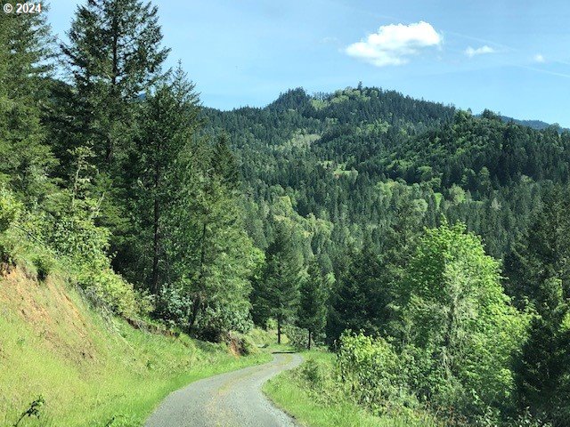 5956 Buckhorn Road Roseburg, OR 97470 - Photo 39 of 40