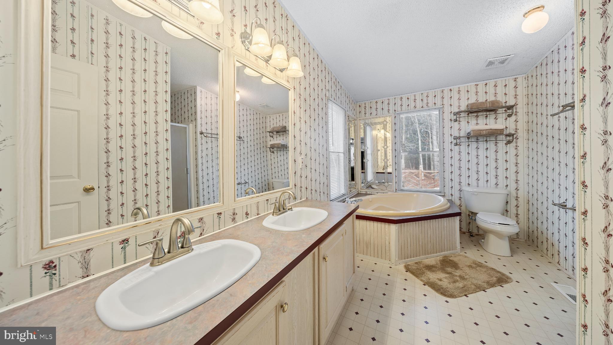 32520 Seatick Road Eden, MD 21822 - Photo 13 of 31 a bathroom with a sink toilet a mirror and shower