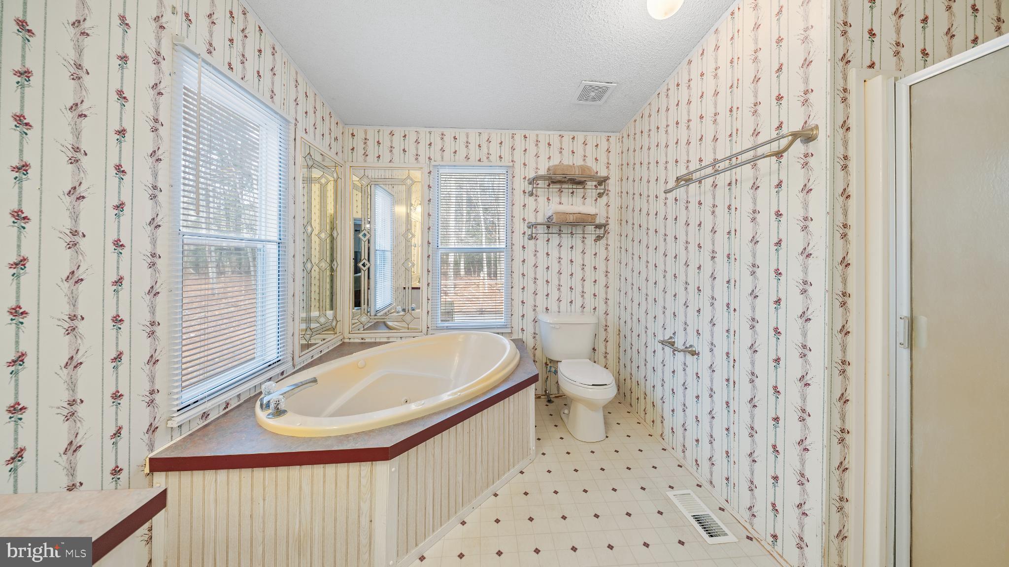 32520 Seatick Road Eden, MD 21822 - Photo 14 of 31 a bathroom with a sink toilet and shower