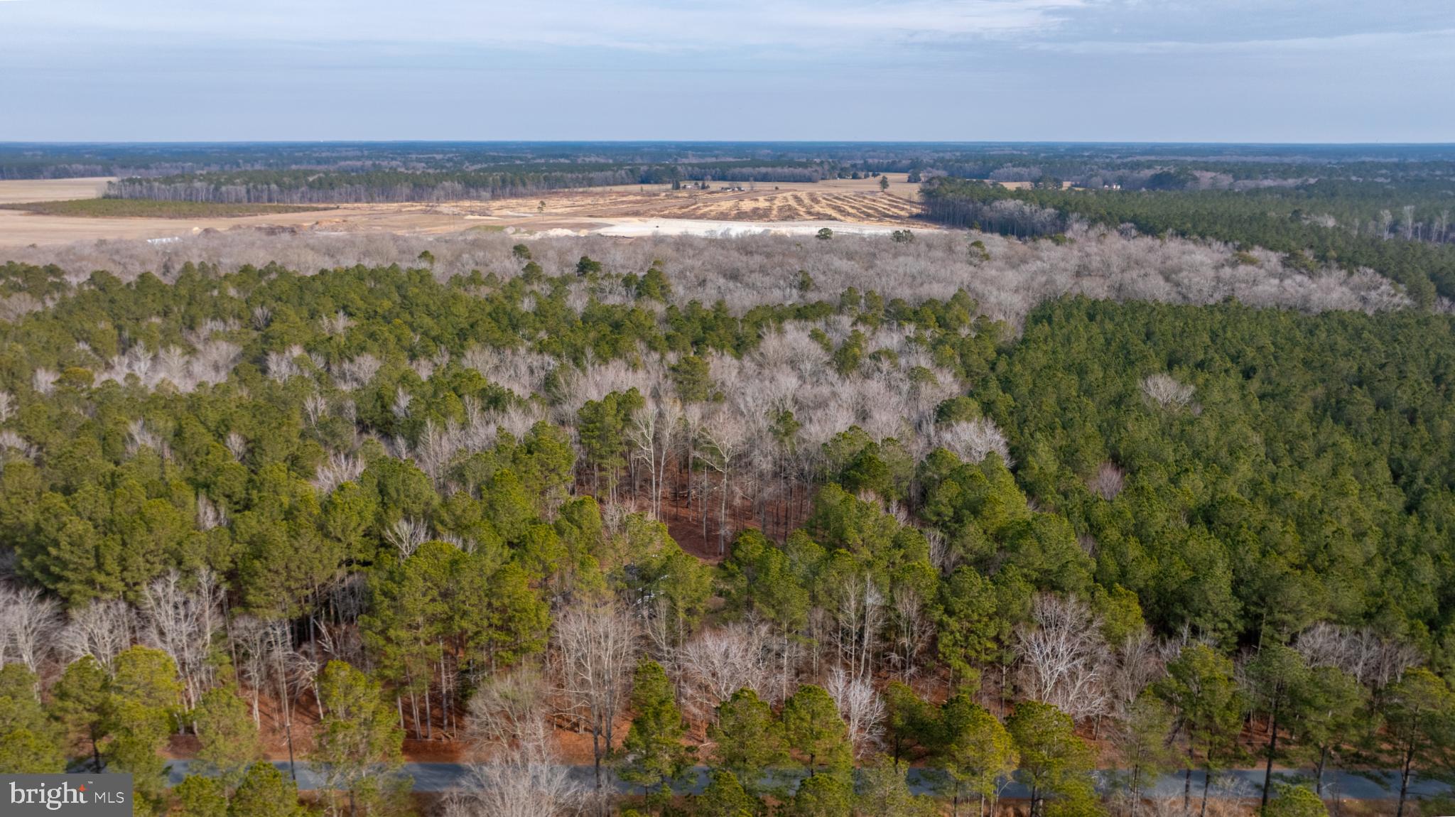 32520 Seatick Road Eden, MD 21822 - Photo 26 of 31 a view of beach and ocean