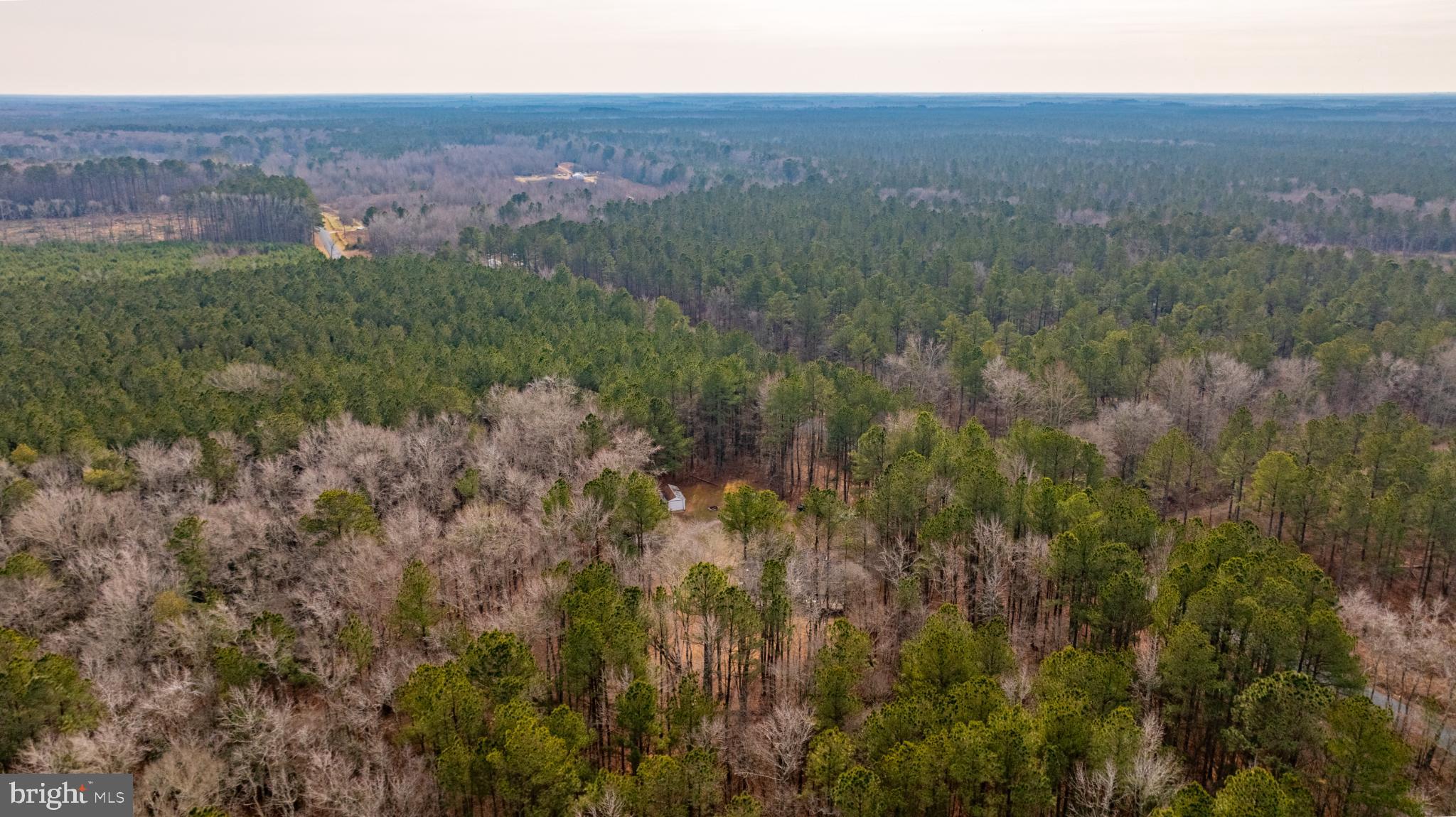32520 Seatick Road Eden, MD 21822 - Photo 28 of 31 a view of a city with lush green forest
