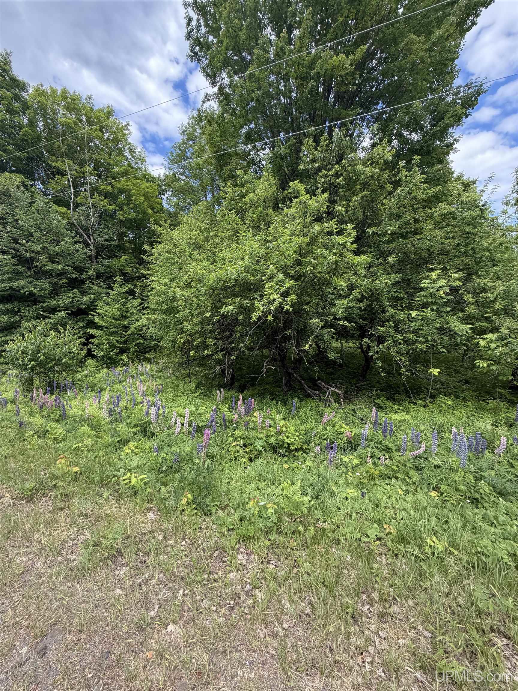 Tbd20 Skanee Road Skanee, MI 49962 - Photo 10 of 26