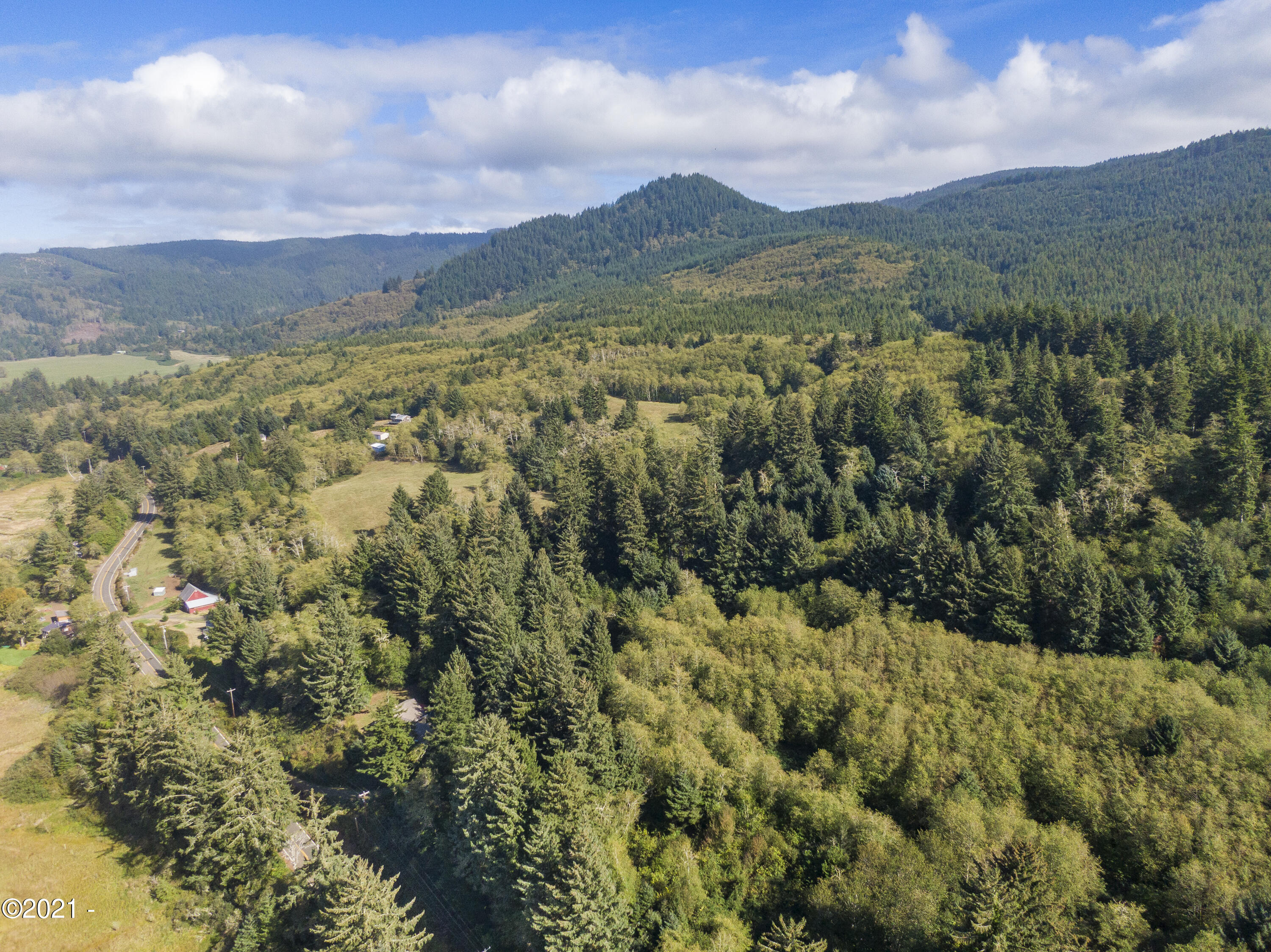 1100 Sandlake Road Cloverdale, OR 97112 - Photo 5 of 12 Coastal forest