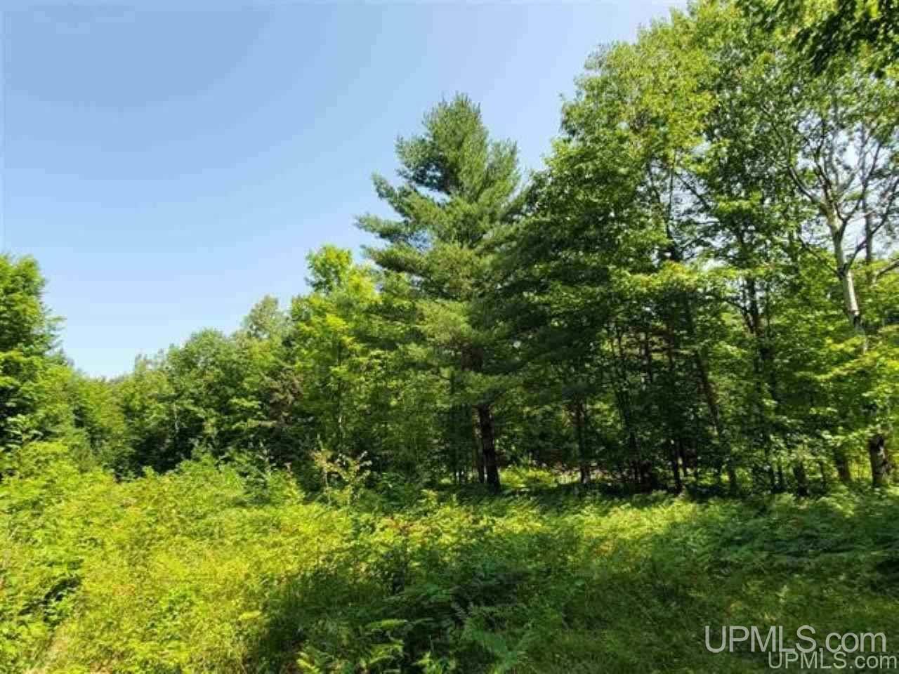 Tbd No 2-3 4 Obenhoff Road Atlantic Mine, MI 49905 - Photo 27 of 32
