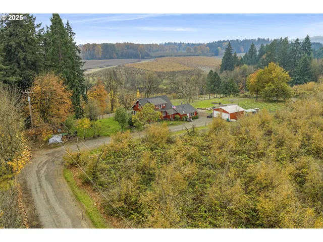 a view of a city with lush green forest