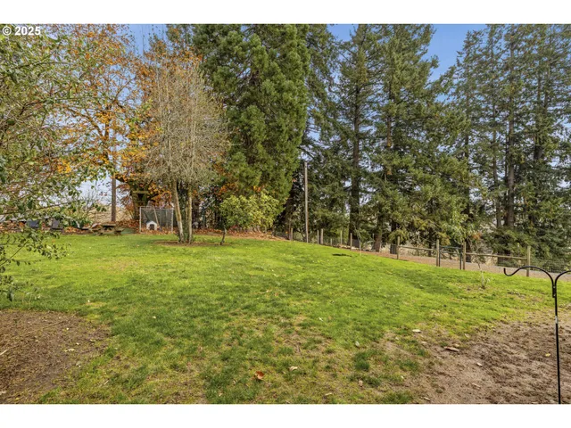 a view of outdoor space with trees all around