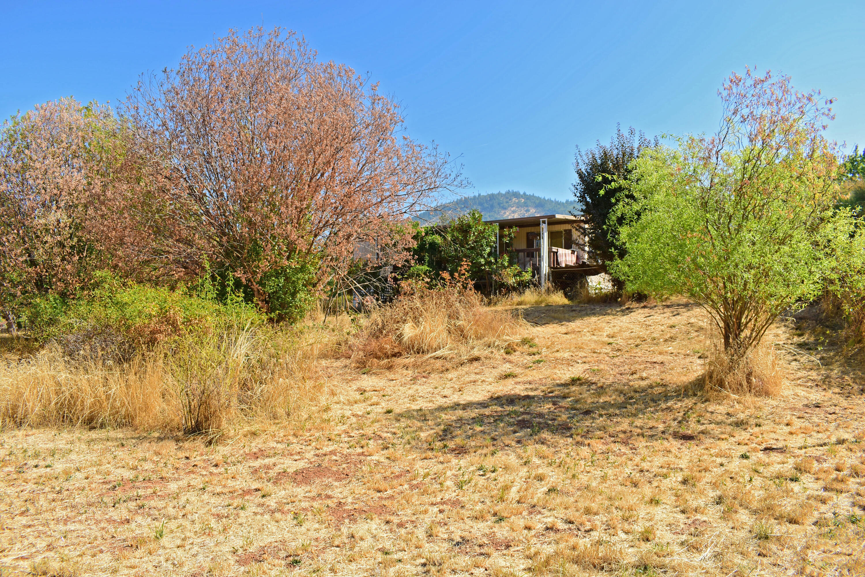229 Walker Road Grants Pass, OR 97527 - Photo 2 of 32 DSC_0109