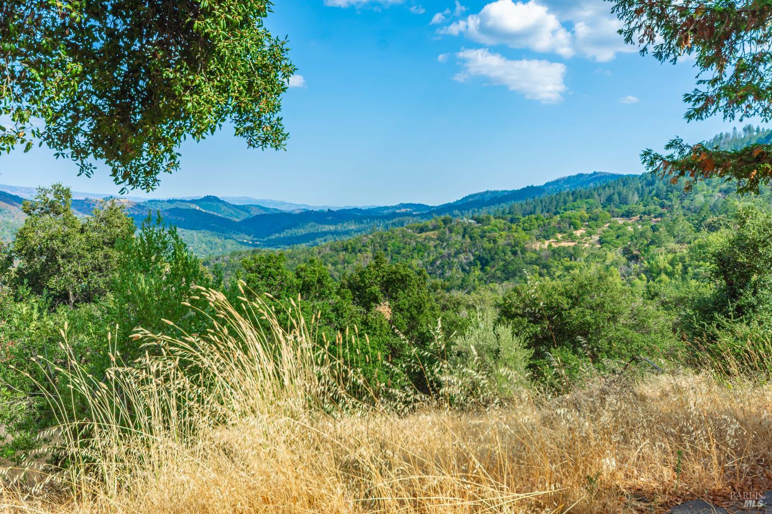 590 Wall Road Napa, CA 94558 - Photo 18 of 22 Gallery Image 18