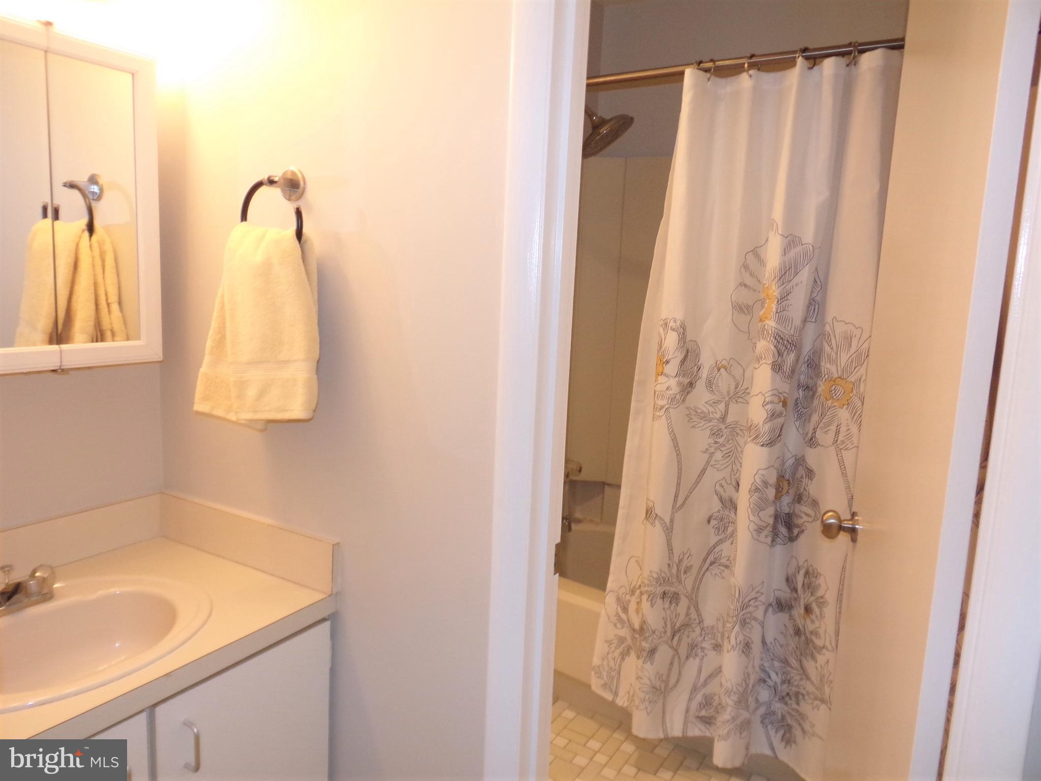 1952 Winterport Cluster Reston, VA 20191 - Photo 18 of 51 Master bath awaits your custom remodel
