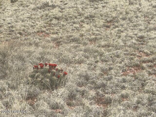Lot 382-ne Gable Road Seligman, AZ 86337 - Photo 6 of 9 a view of electric trees