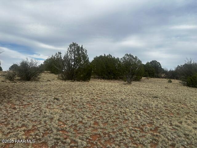 Lot 382-ne Gable Road Seligman, AZ 86337 - Photo 8 of 9 a view of a field