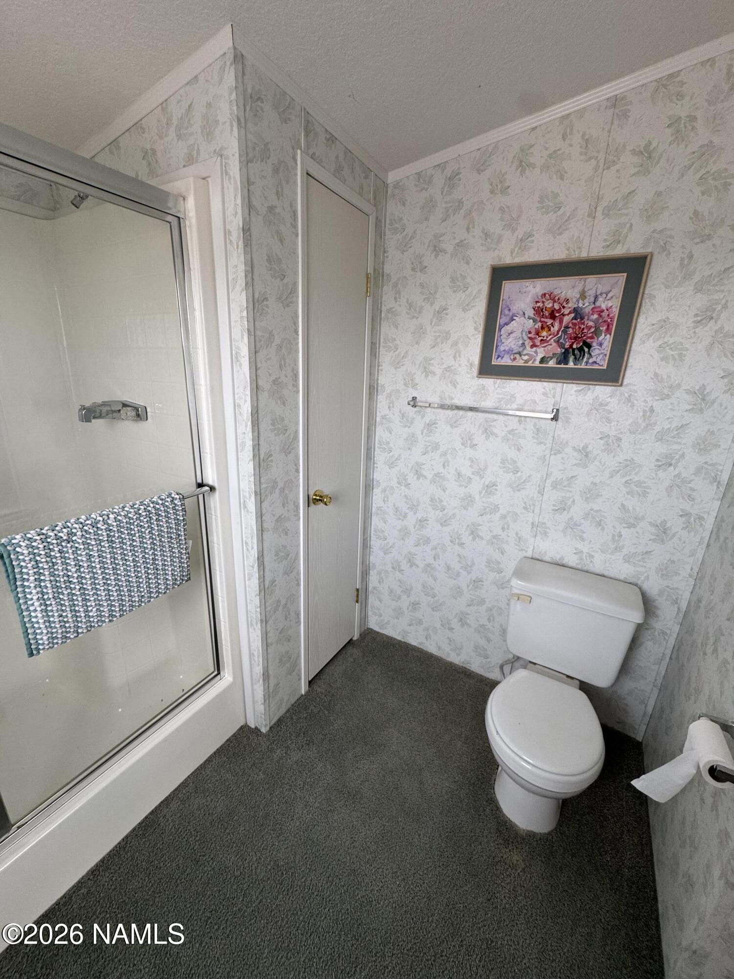 768 Mountain Cat Road Williams, AZ 86046 - Photo 20 of 37 a bathroom with a toilet and a shower