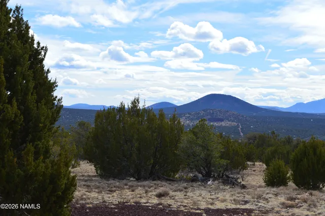 $250,000 | 768 Mountain Cat Road, Williams, AZ 86046