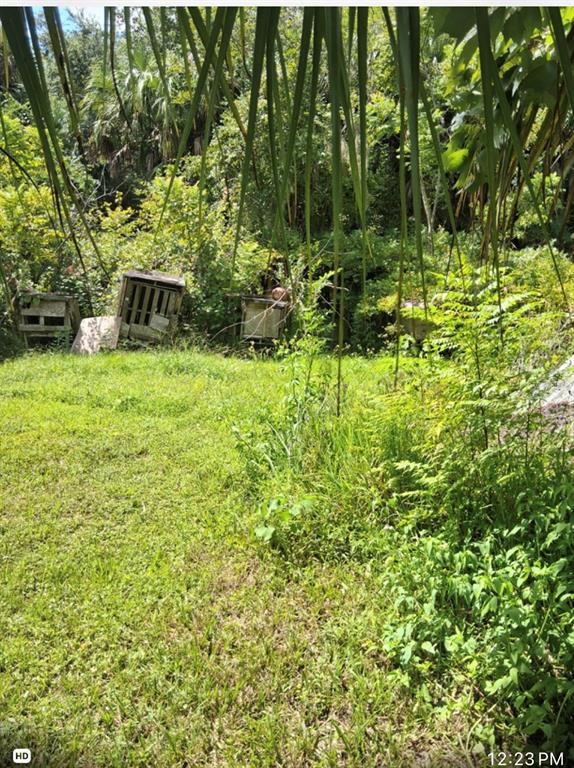 438 State Rte 415 Osteen, FL 32764 - Photo 17 of 19 Gallery Image 17