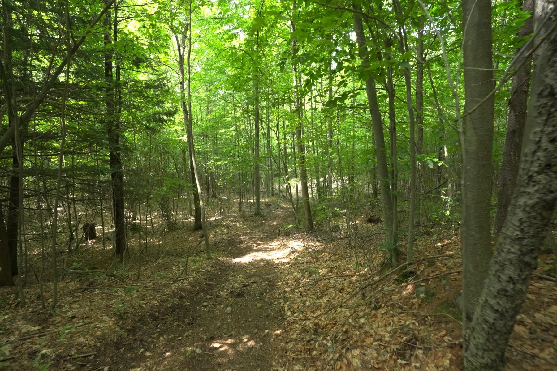 0 Town Line Road Rutland, VT 05701 - Photo 10 of 11 Gallery Image 10