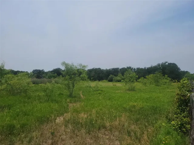 a view of a field of grass and trees