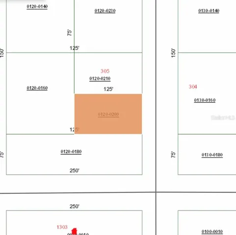 $5,000 | 303 Milton Avenue, Interlachen, FL 32148