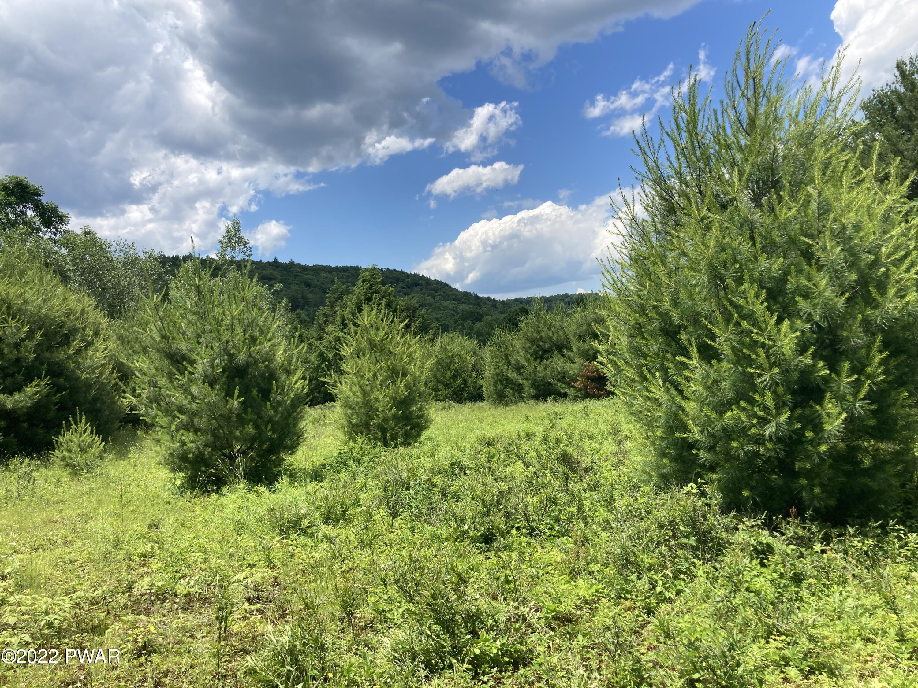 841 B Callicoon Road Damascus, PA 18415 - Photo 27 of 38 Back fields