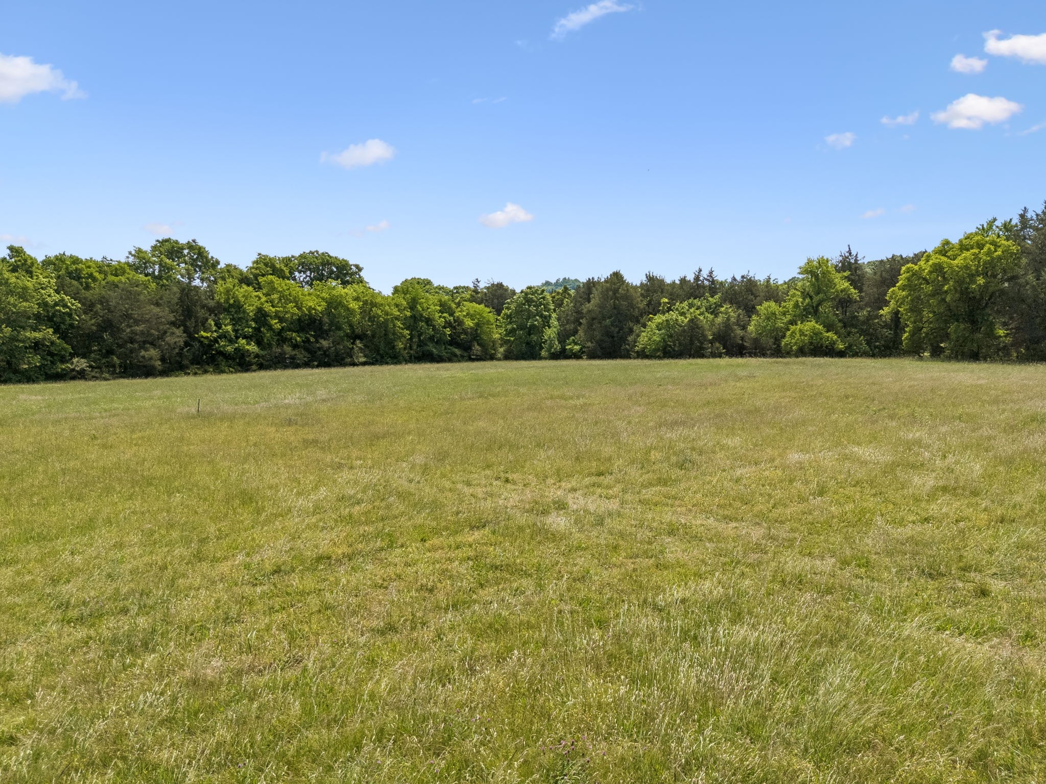 15 Clark Mill Road Fayetteville, TN 37334 - Photo 44 of 55