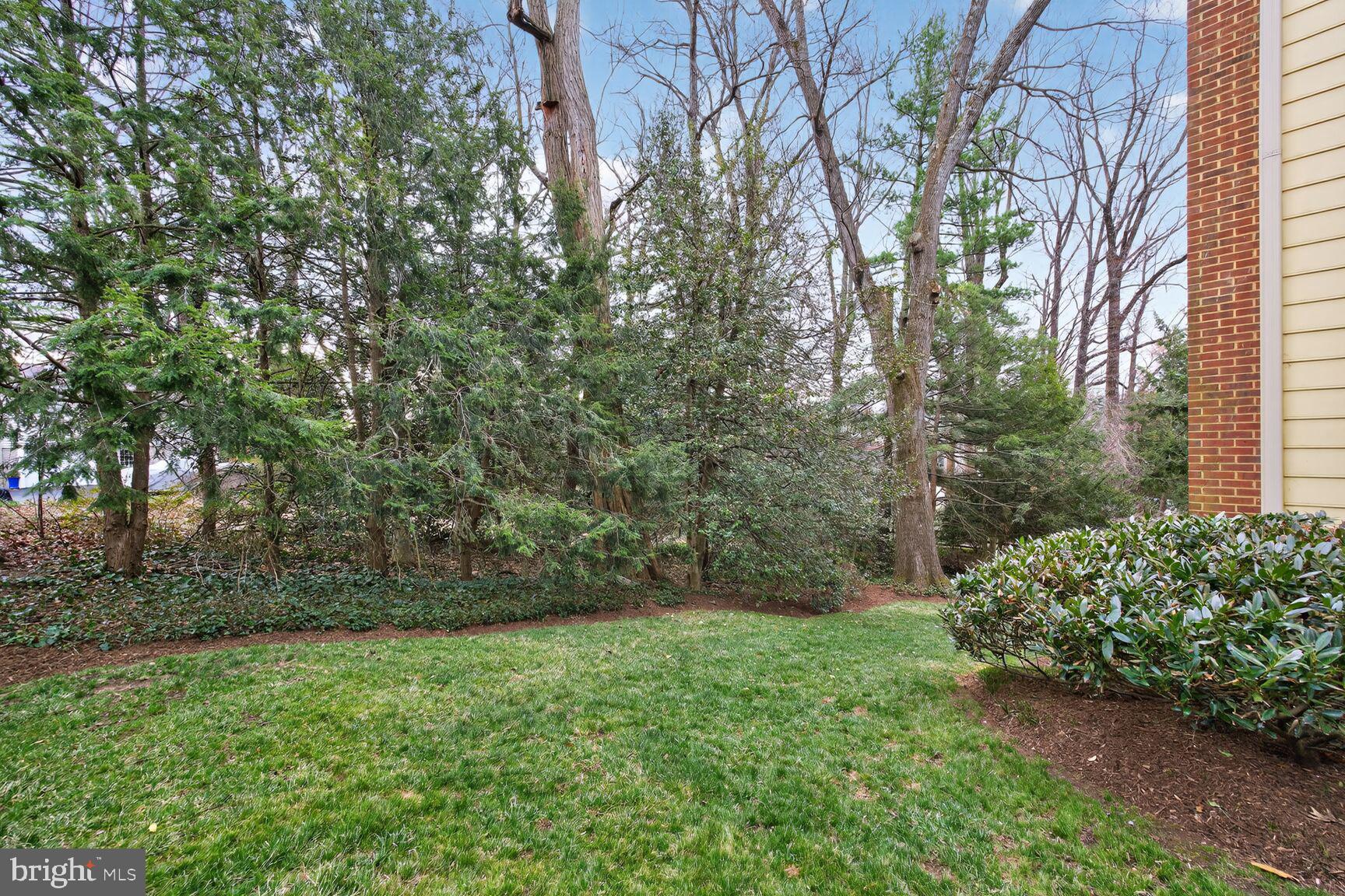 5206 Little Falls Road Arlington, VA 22207 - Photo 48 of 49 a view of backyard with green space