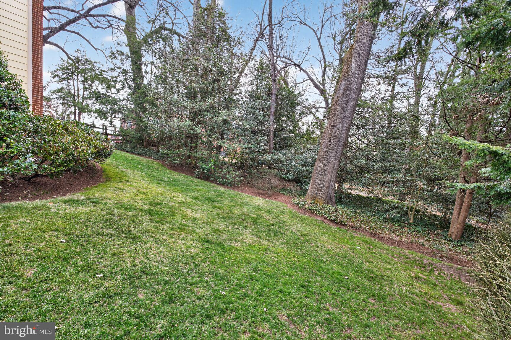 5206 Little Falls Road Arlington, VA 22207 - Photo 49 of 49 a view of a yard with large trees