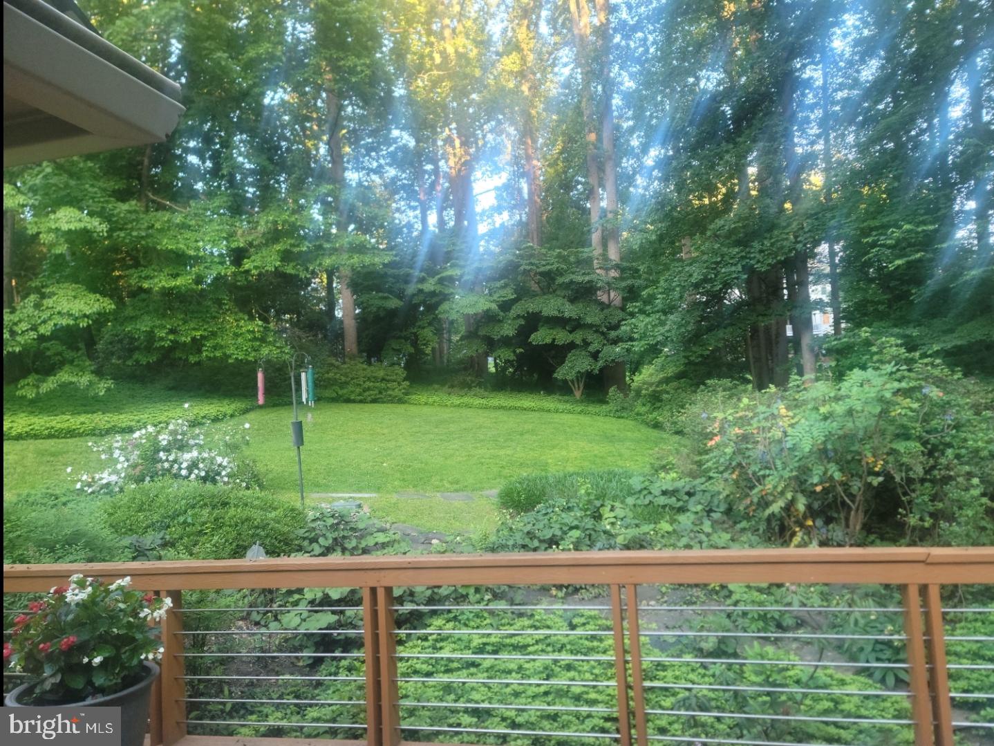 1097 Old Cedar Road McLean, VA 22102 - Photo 2 of 9 backyard view from deck