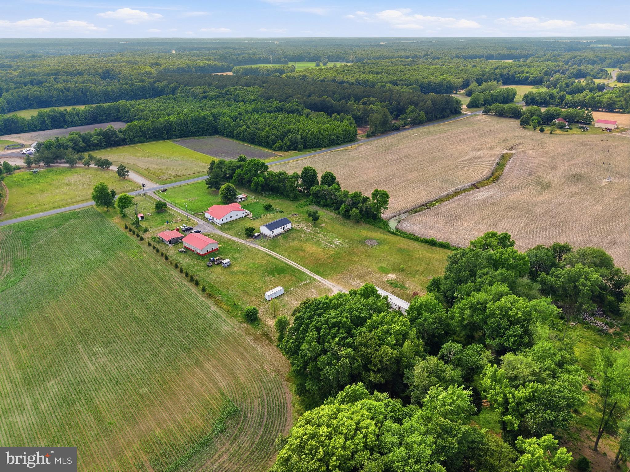 420 Duhamel Corner Road Marydel, MD 21649 - Photo 12 of 90