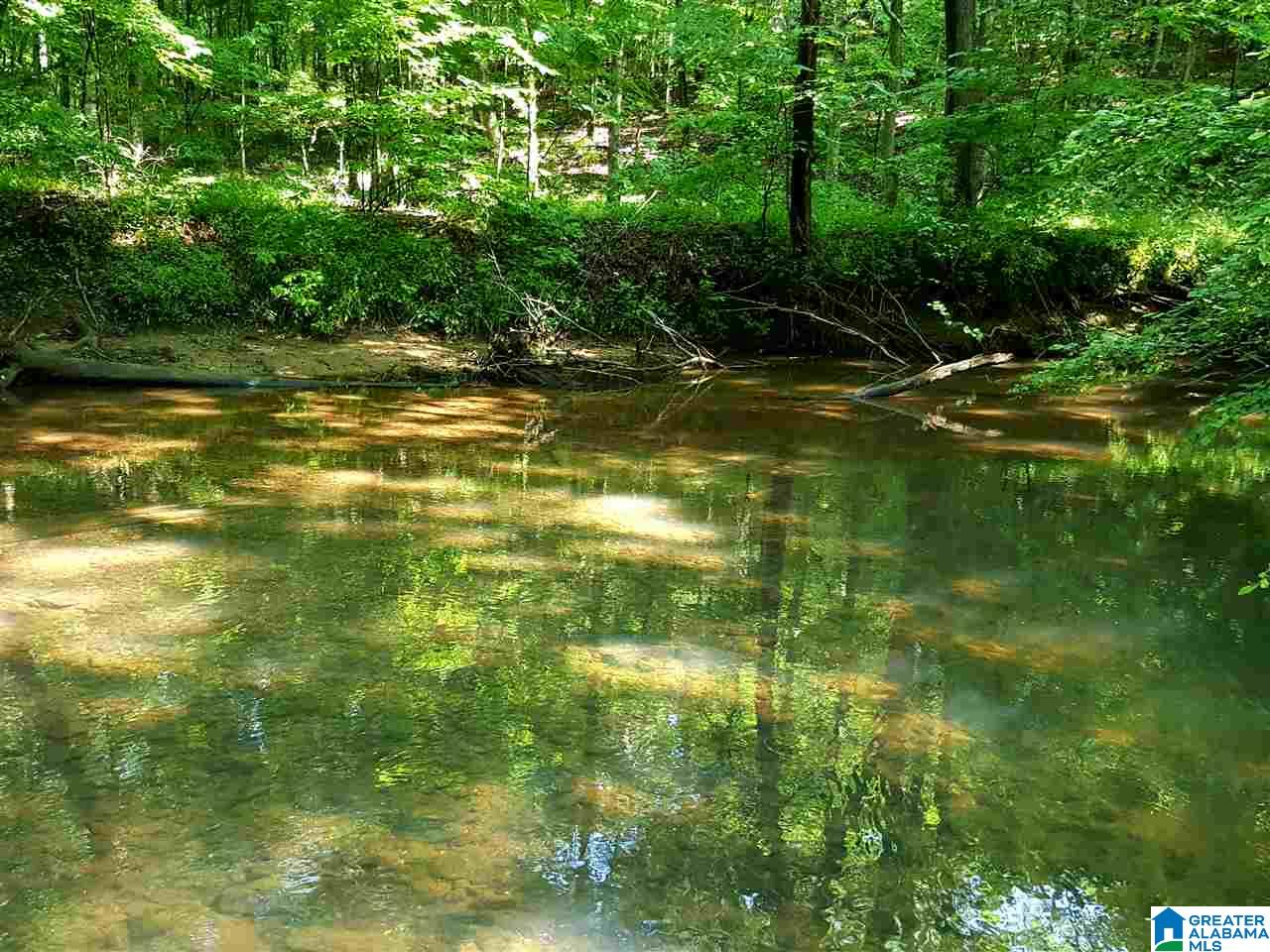 0 Chapman Road, Unit 175 Goodwater, AL 35072 - Photo 6 of 16