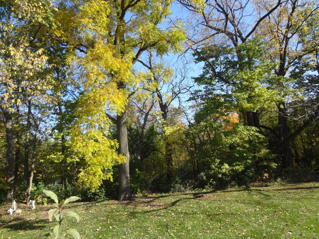 3003 Turnberry Road St. Charles, IL 60174 - Photo 4 of 13 a view of a yard