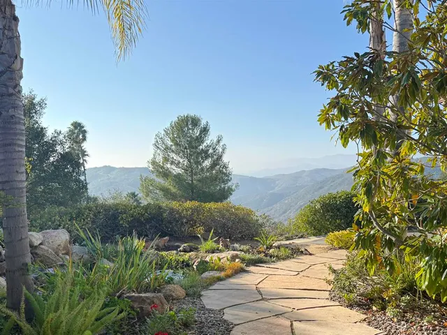 a view of a pathway with a tree