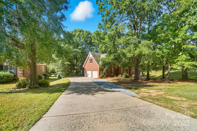 a view of a yard with plants and trees