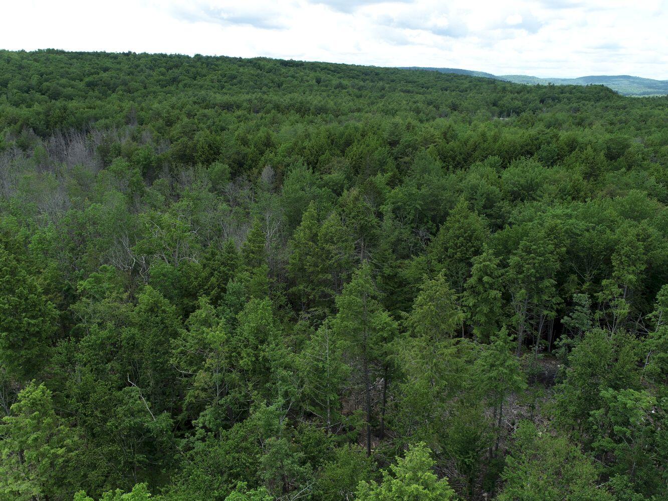 M13-l44 Valley Road Raymond, ME 04071 - Photo 5 of 20 DJI_0003