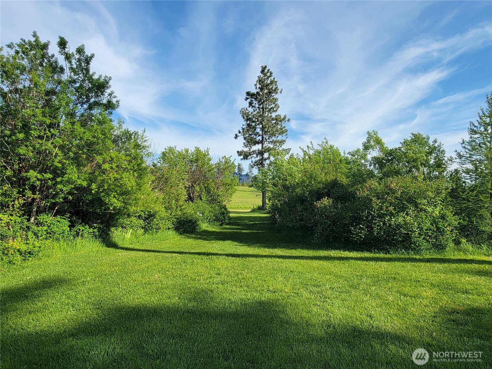 1335 Payne Hollow Road Dayton, WA 99328 - Photo 19 of 28