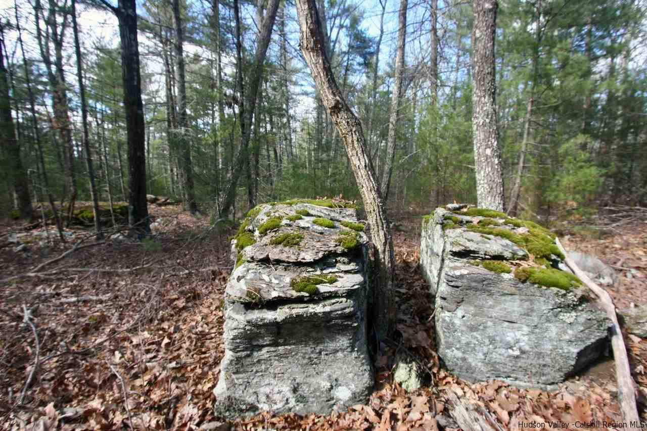 721 Lapla Road Marbletown, NY 12401 - Photo 1 of 7 Photo 1