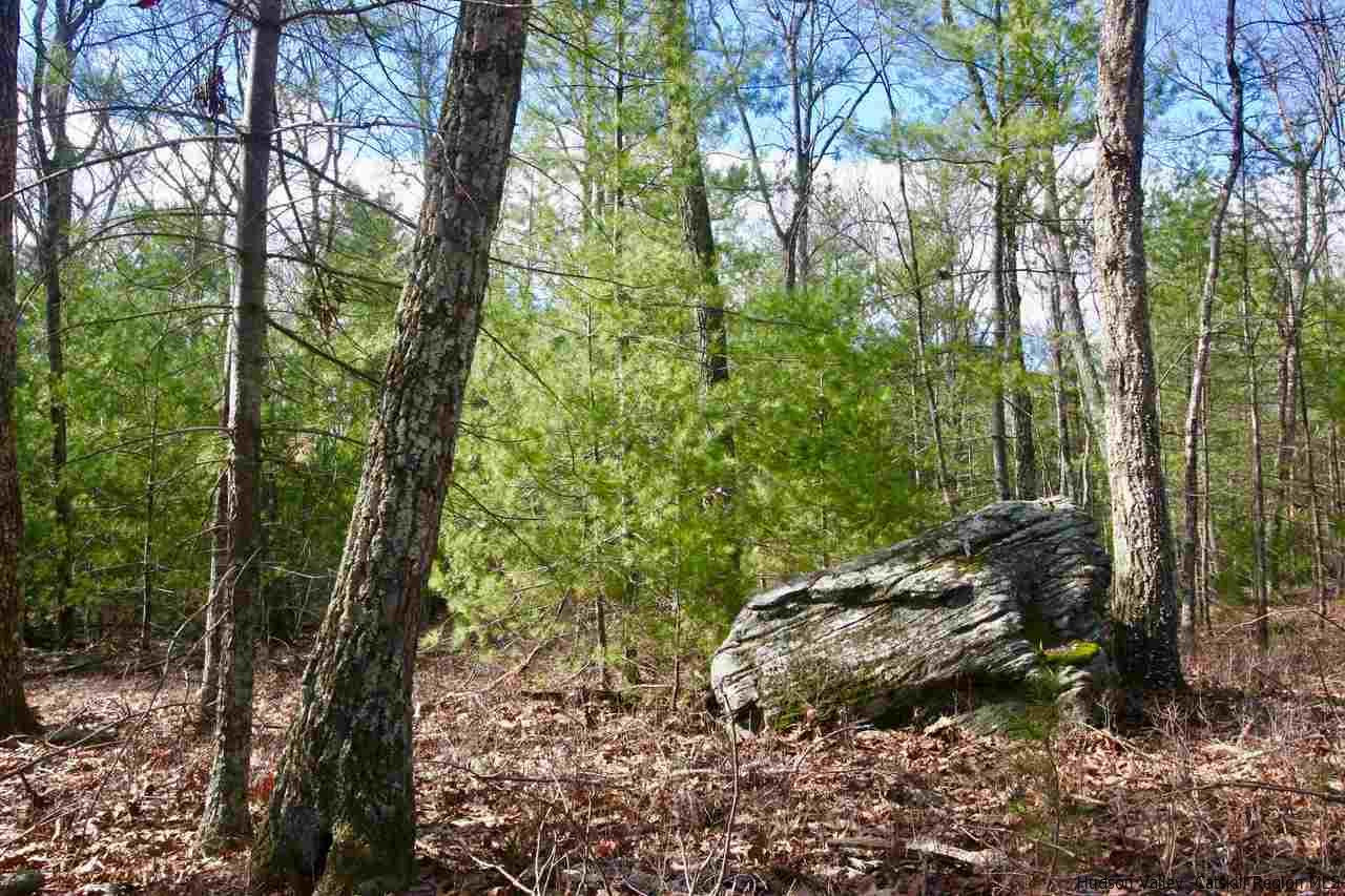 721 Lapla Road Marbletown, NY 12401 - Photo 2 of 7 Photo 2