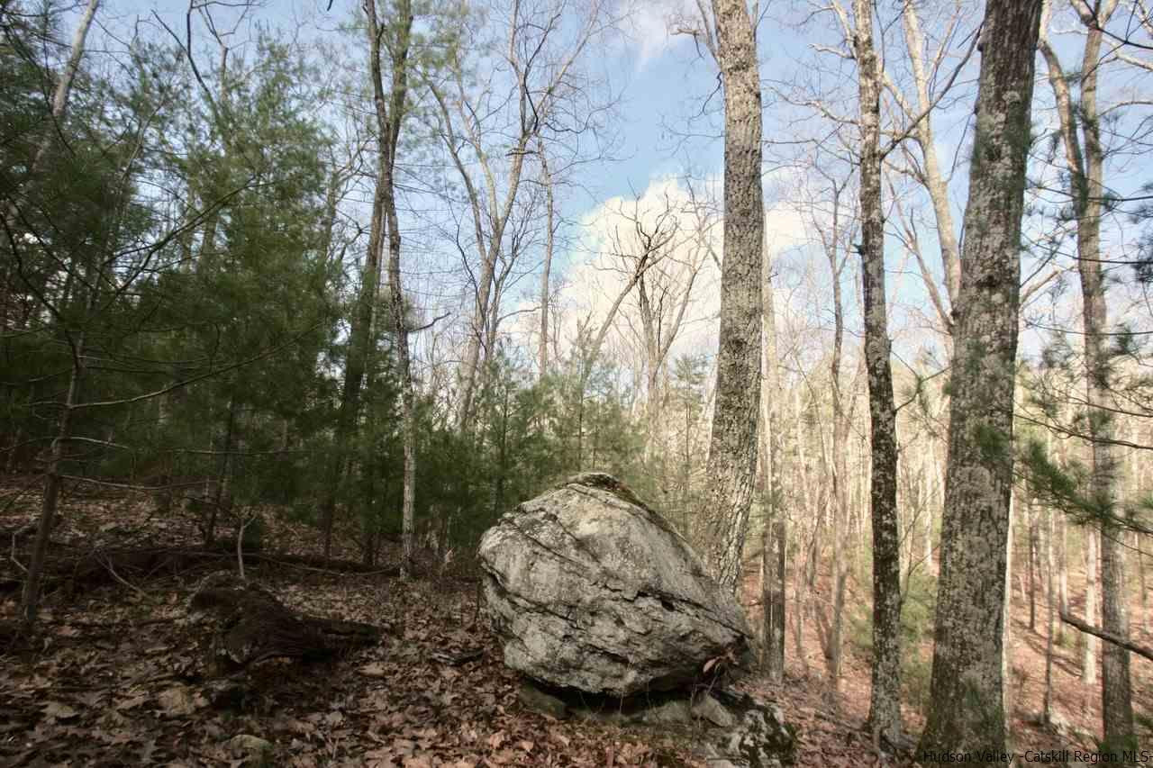 721 Lapla Road Marbletown, NY 12401 - Photo 3 of 7 Photo 3