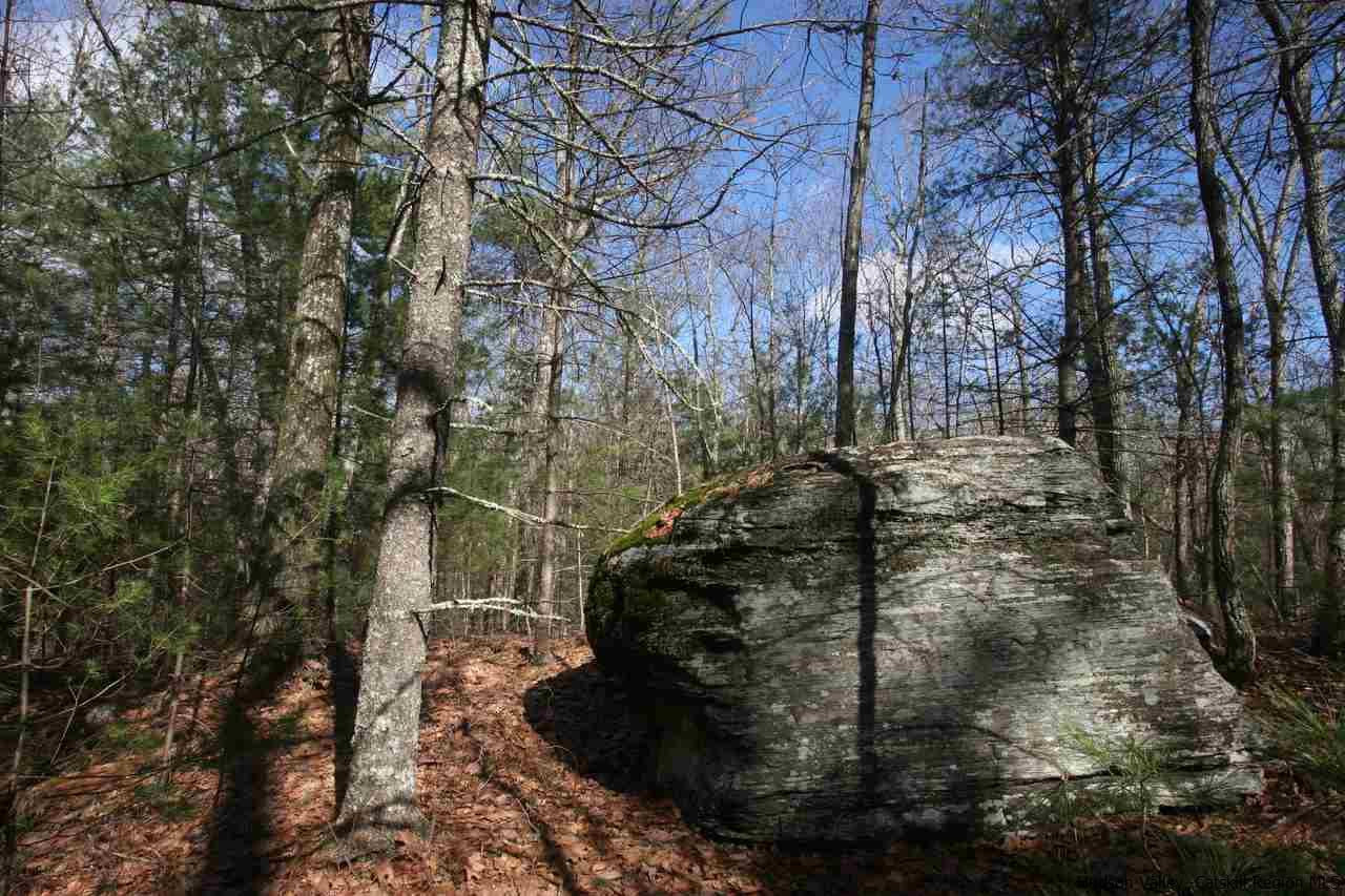 721 Lapla Road Marbletown, NY 12401 - Photo 4 of 7 Photo 4