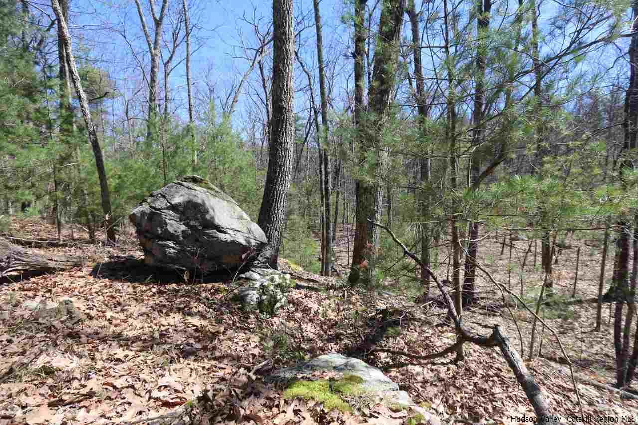 721 Lapla Road Marbletown, NY 12401 - Photo 5 of 7 Photo 5