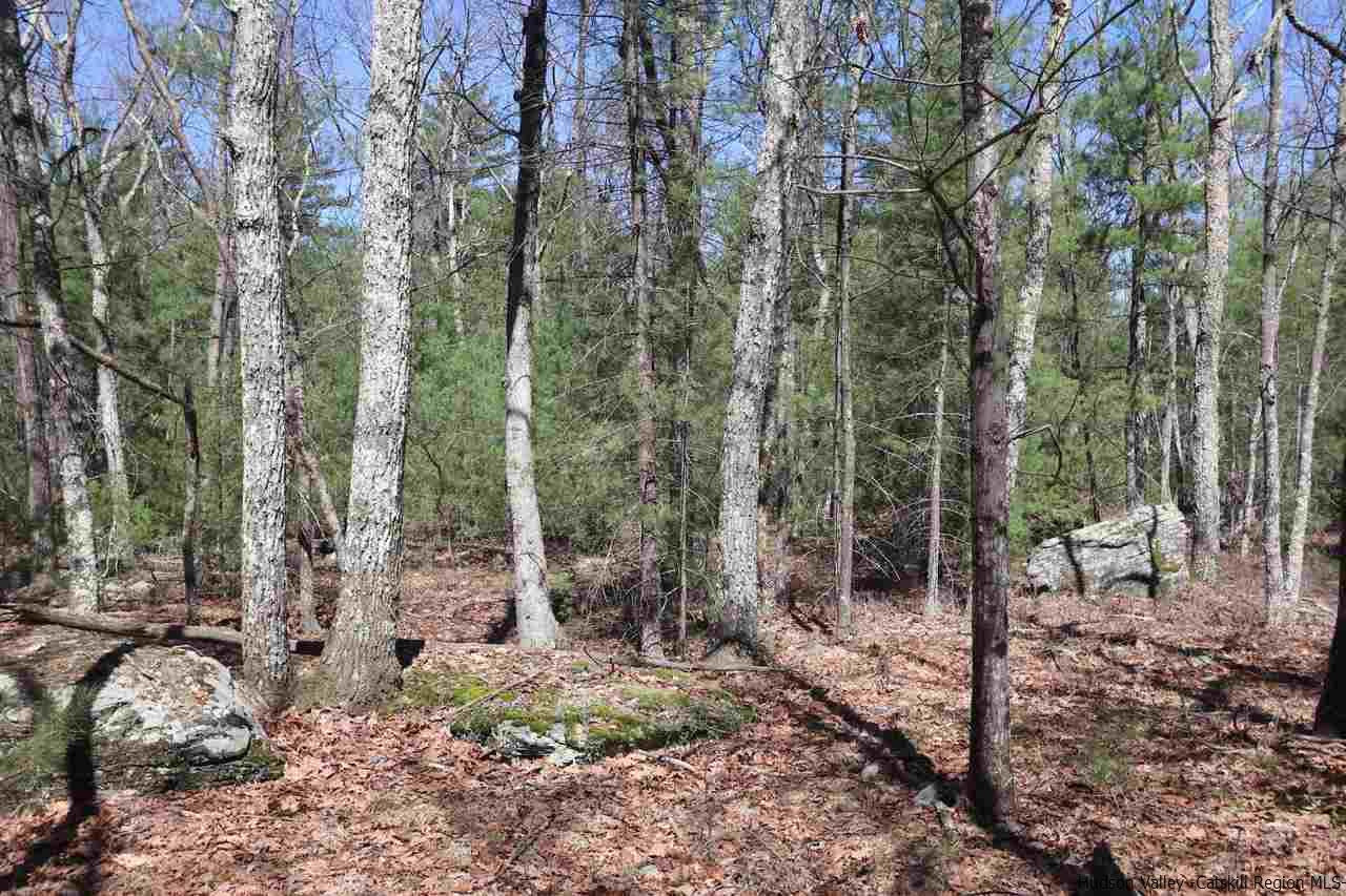 721 Lapla Road Marbletown, NY 12401 - Photo 7 of 7 Photo 7