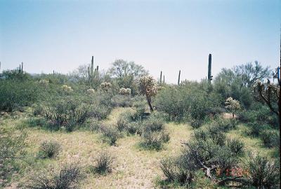 0 East Powerline Road Marana, AZ 85653 - Photo 3 of 10