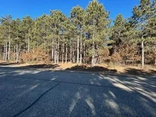 $54,900 | W3152 Yellow Banks Trail, Nekoosa, WI 54457