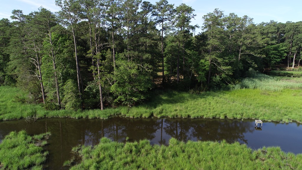 N/a Bobtown Road Melfa, VA 23410 - Photo 4 of 7