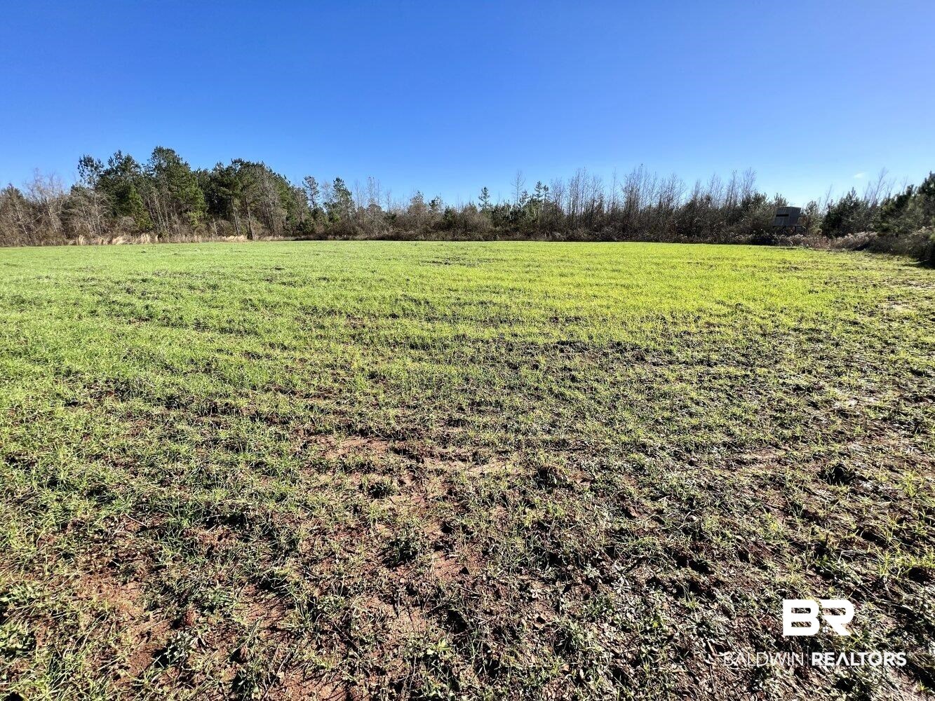 0 Highway 84 Evergreen, AL 36401 - Photo 36 of 50