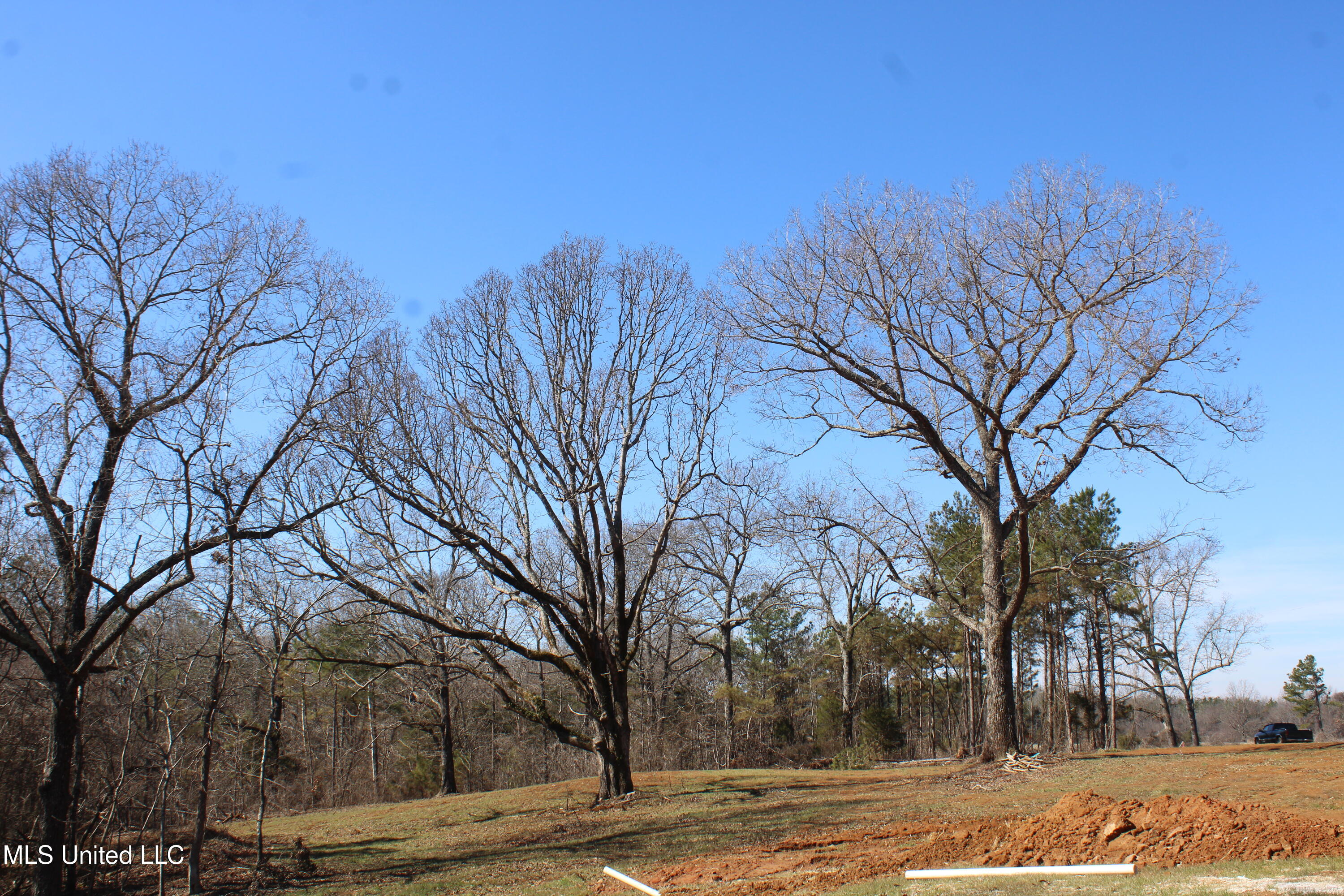 3775 Hernando Road Holly Springs, MS 38635 - Photo 23 of 32 IMG_7364