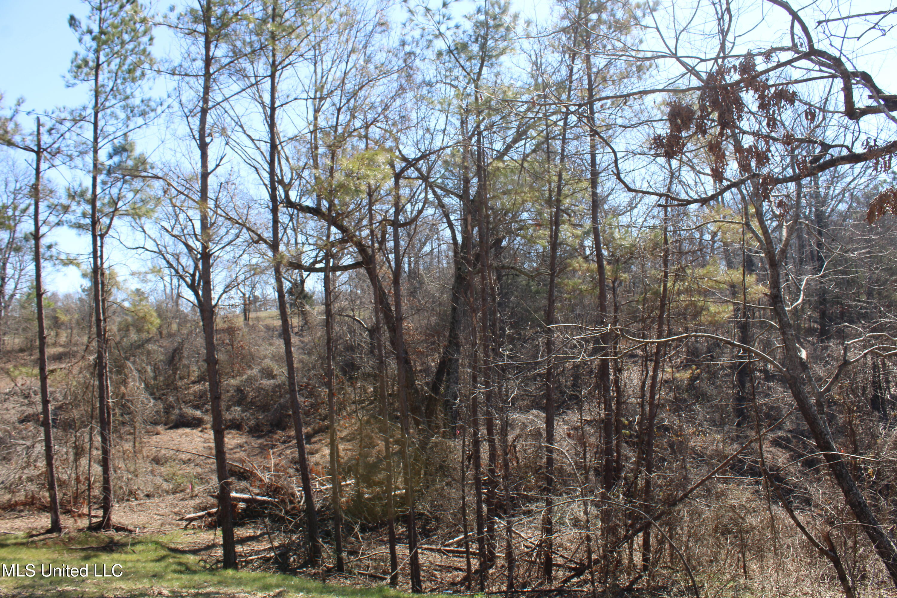 3775 Hernando Road Holly Springs, MS 38635 - Photo 24 of 32 IMG_7365