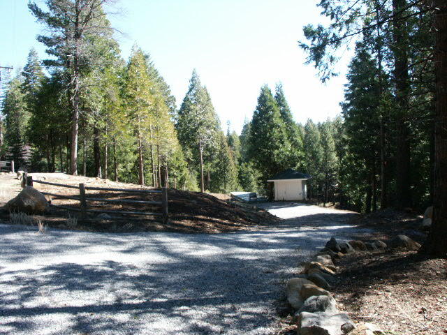 35055 Bailey Creek Road Shingletown, CA 96088 - Photo 8 of 11 land 2