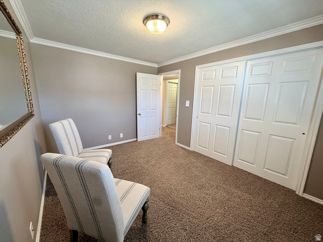 12080 Mill Ridge Circle Sandy, UT 84094 - Photo 28 of 56 Carpeted room featuring neutral-toned walls, white crown molding, and two white six-panel bifold closet doors
