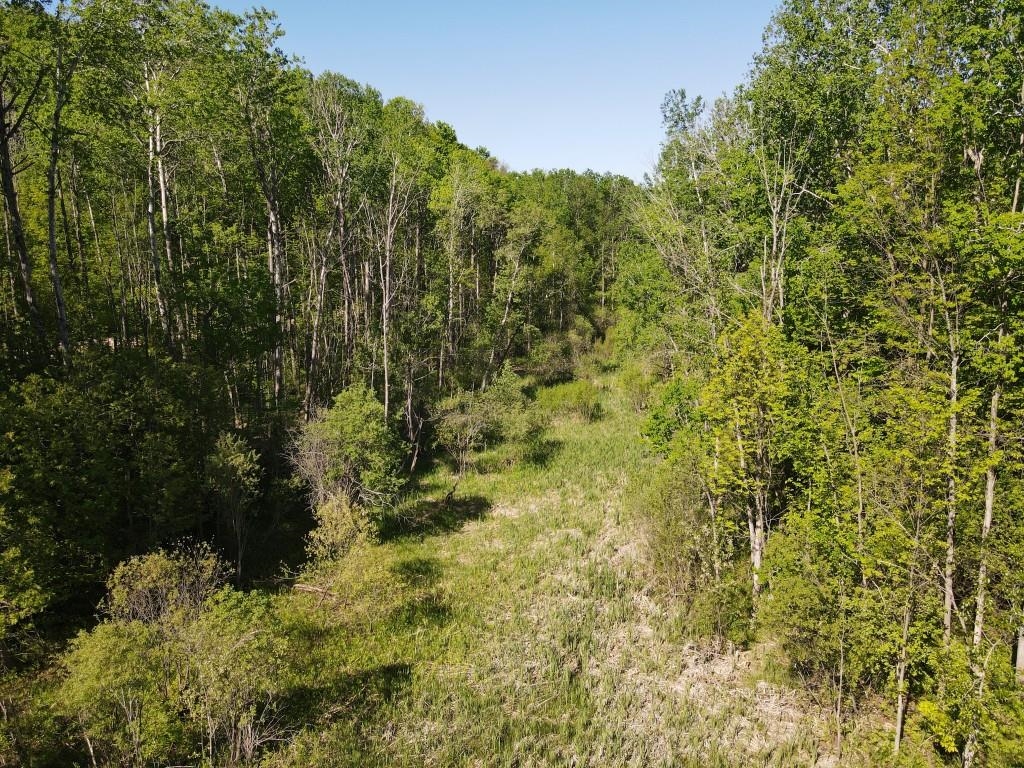 Tbd Pesek Road East Jordan, MI 49727 - Photo 17 of 28